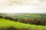 rolling green pastures in the cornish countryside