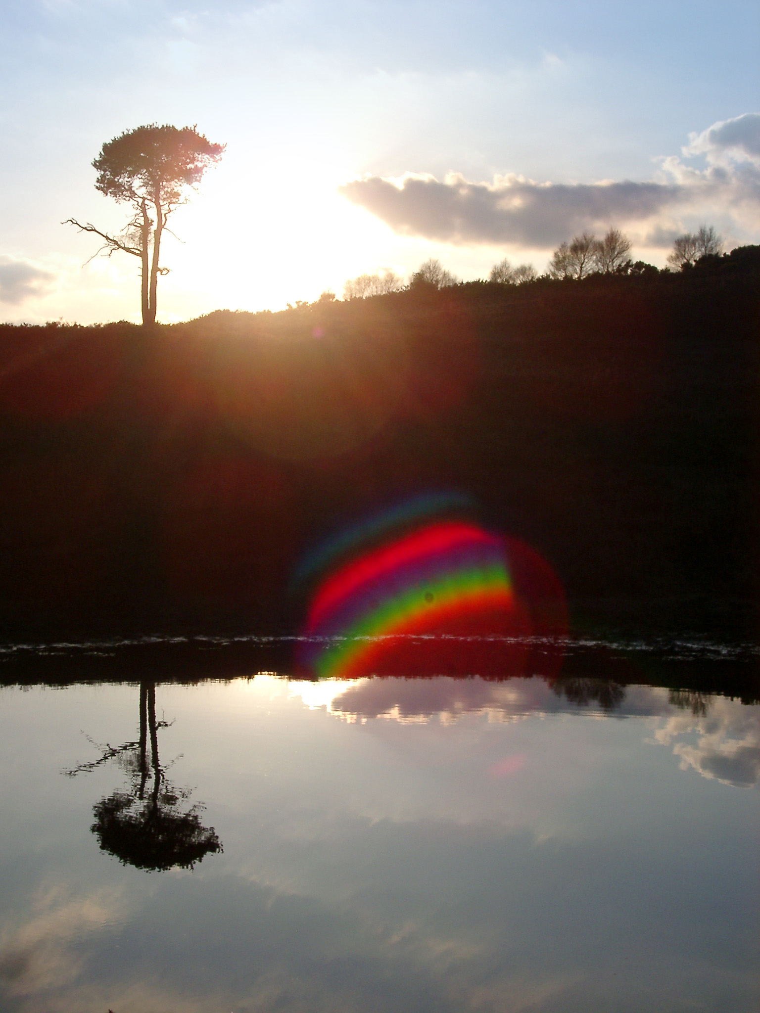 an image of sunset reflection in a pool of water on the new forest downs