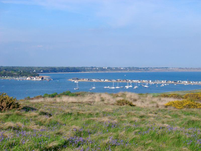 lines of beach huts at mudeford spit, christchurch harbour, dorset