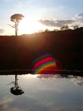 sunset reflection in a pool of water on the new forest downs