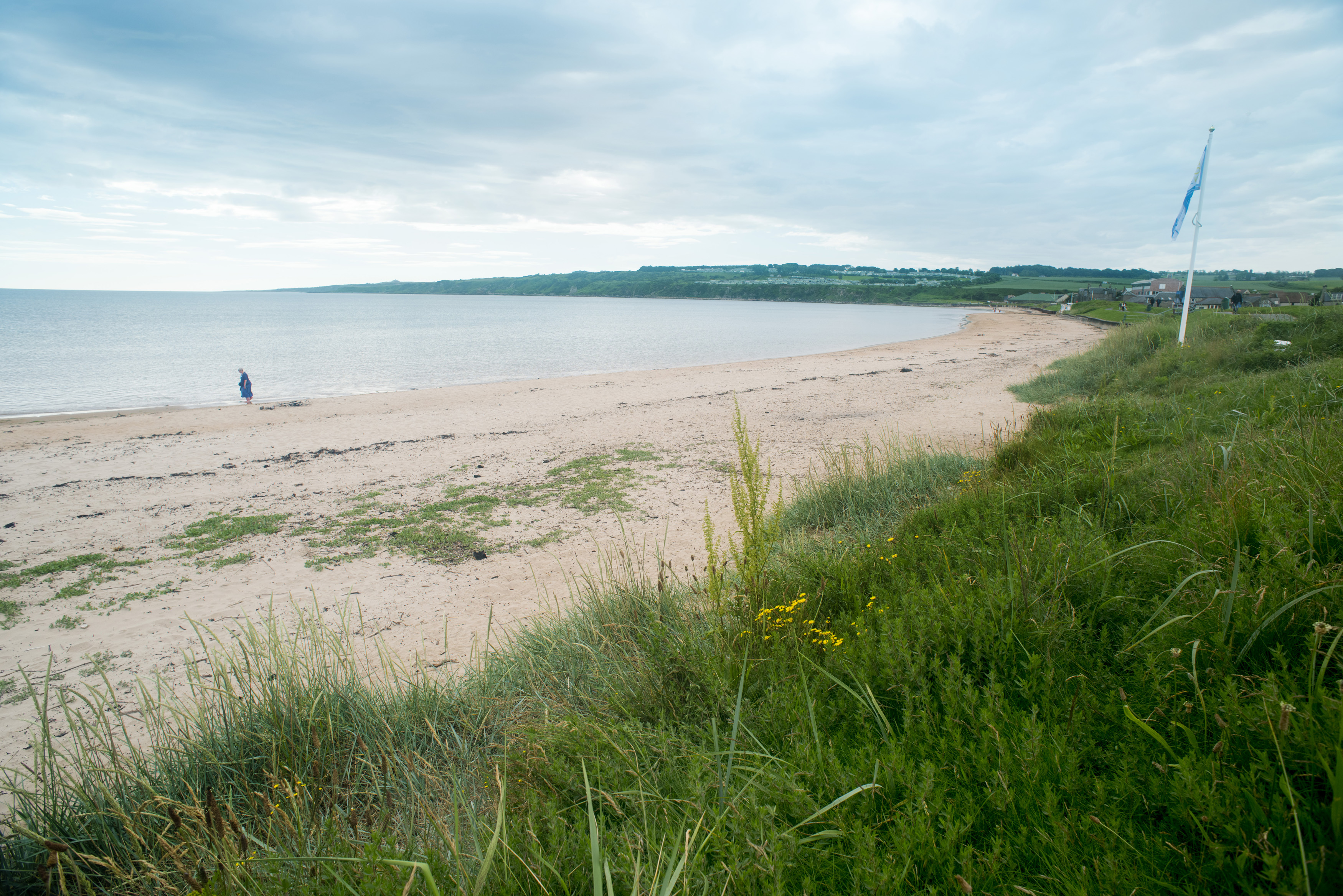 an image of Deserted beach on the Fife coast at St Andrews, Scotland bordered by lush green grass curving away into the distance on a cloudy day