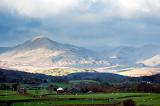 View of Balwith Knott, a hill in the south of Cumbria in the English Lake District, with sheep grazing in lush green pastures below
