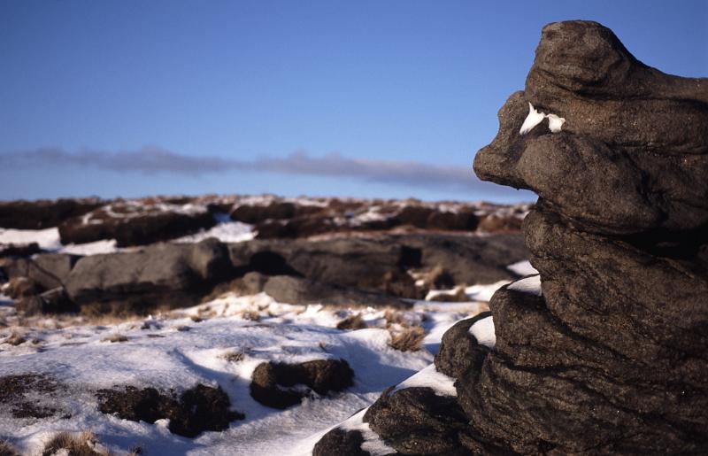 a cold winter morning on wind swept kinder skout