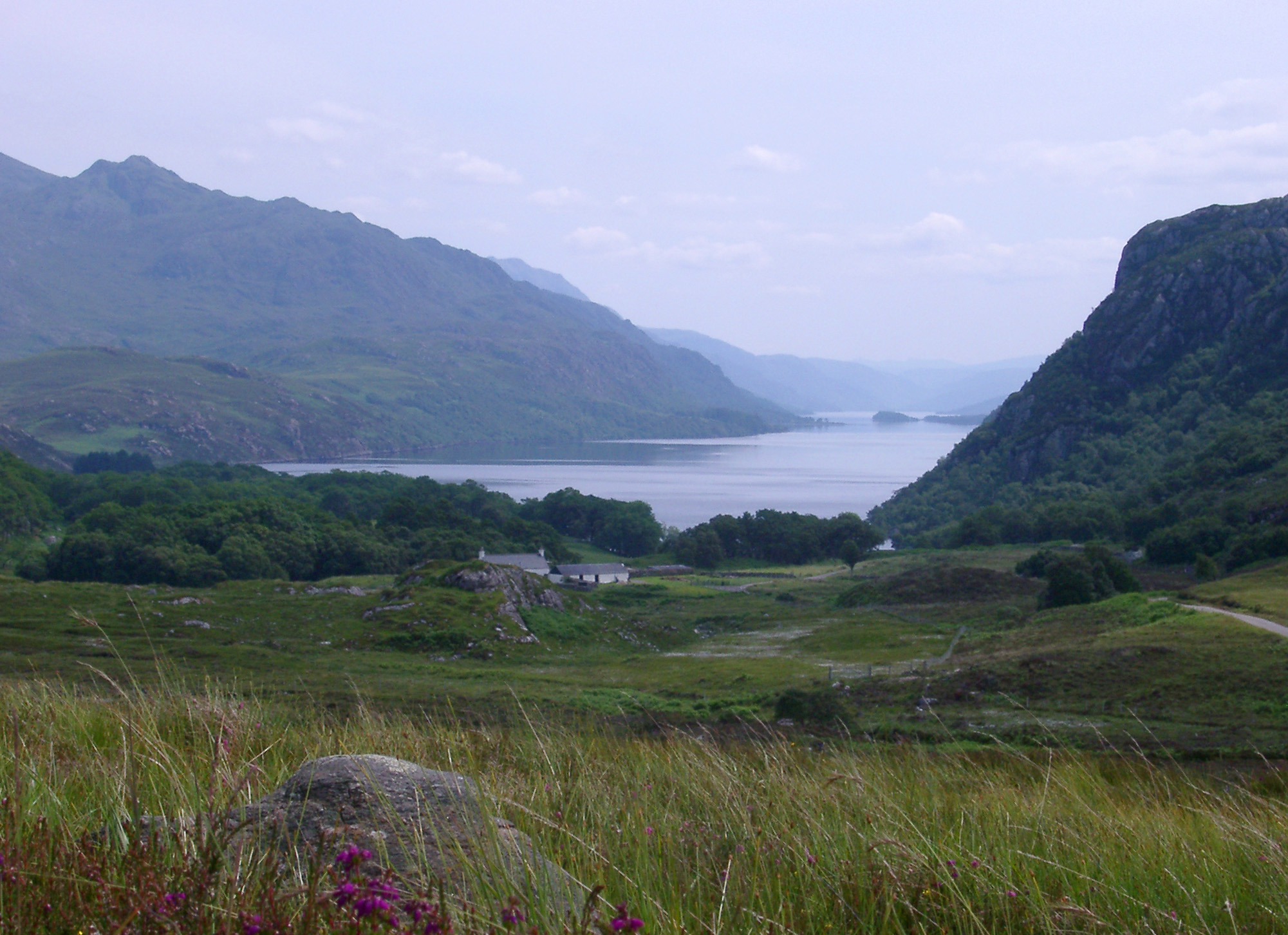 an image of Tranquil Scottish landscape with heather growing on the shores of a misty loch bounded by rugged mountain peaks