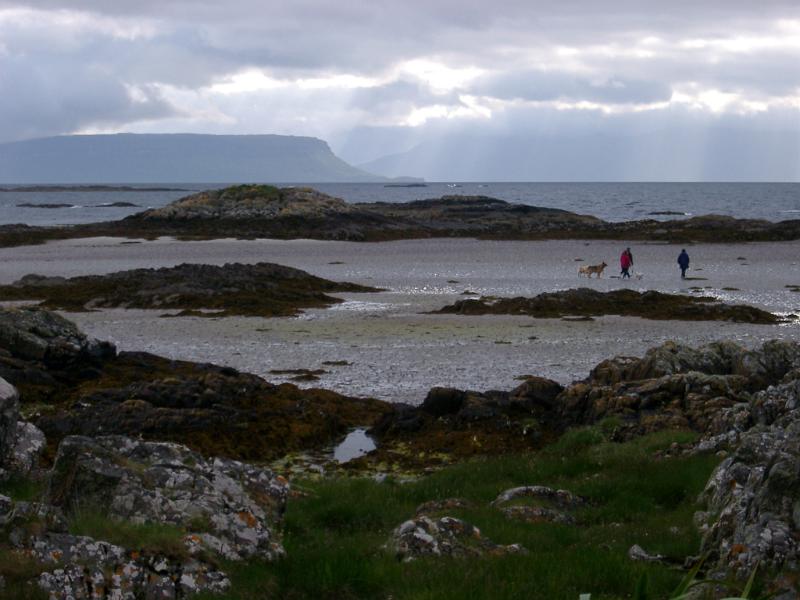People dog walking in the distance along the sand on a beach with littered with piles of washed up kelp seaweed