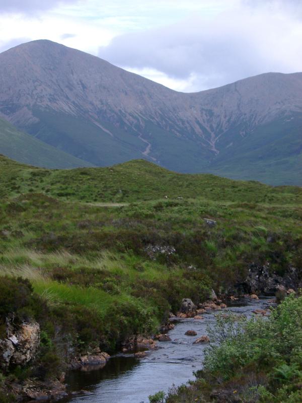 Scenic wilderness view with a babbling brook flowing through lush greenery against a mountain backdrop with clouds