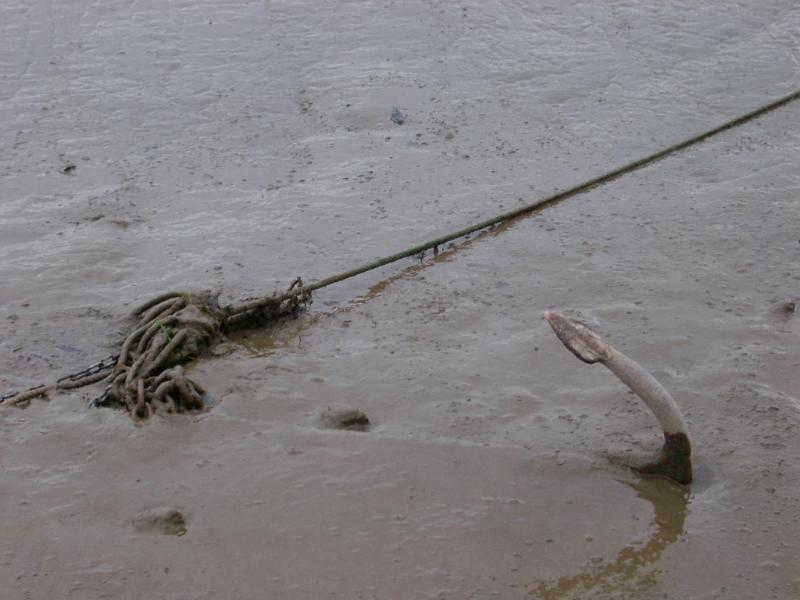 Fluke of a marine boat anchor with an attached chain and hawser sticking up out of the mud, with copyspace