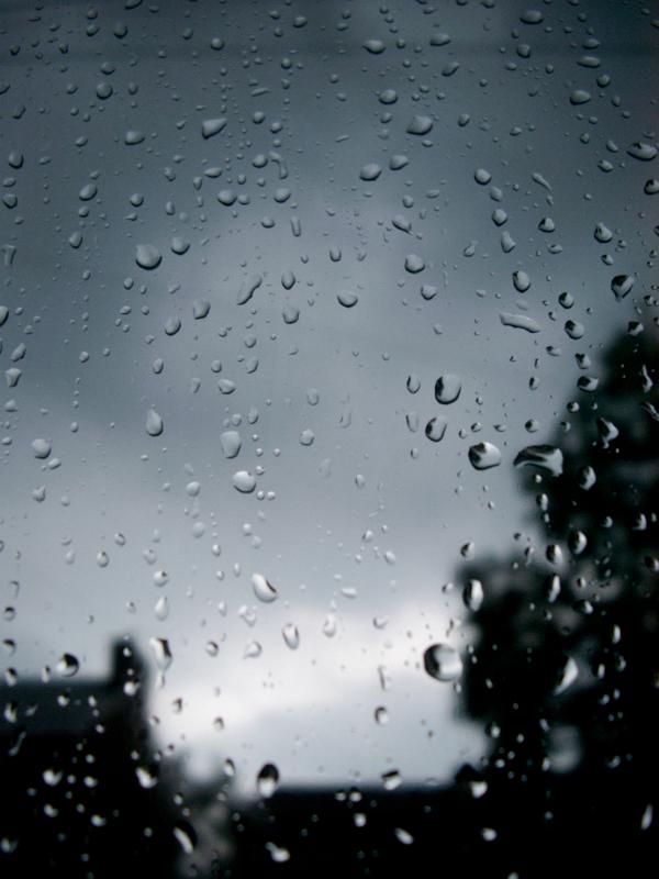 Raindrops beading on a glass window on a dark stormy day in a background concept for the weather or climate