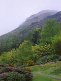 Reclamation of an old slag heap from a slate mine as the flowers and plants take root to cover the hillside, misty day in the Welsh countryside