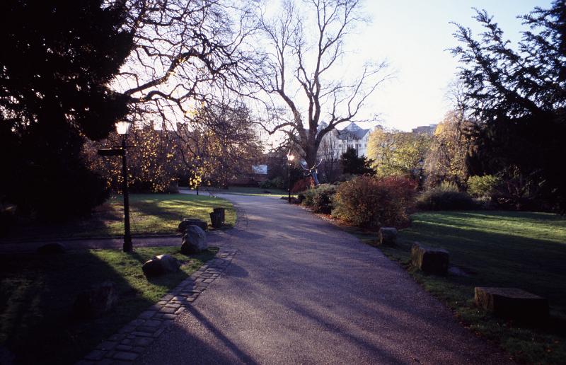 Pathway through the public park in York on a restful evening with long shadows cast by the leafless deciduous trees with their tracery of bare branches