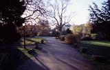 Pathway through the public park in York on a restful evening with long shadows cast by the leafless deciduous trees with their tracery of bare branches