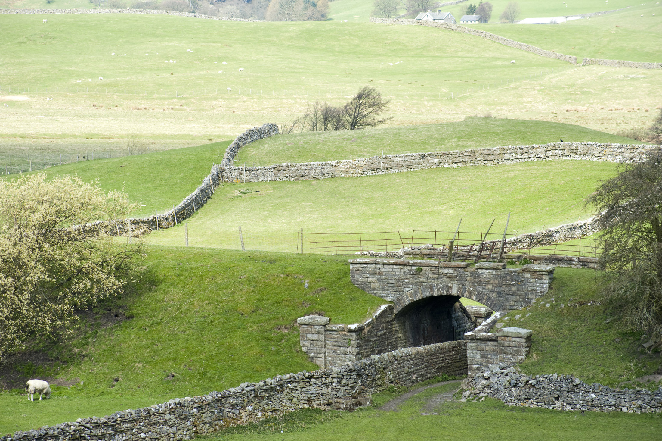 an image of farming landscape, hawes, yorkshire dales national park