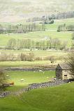 patchwork of fields in wensleydale, yorkshire dales national park