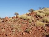 Small Grasses on Rocky Red Brown Land in Australia on Light Blue Sky Background.