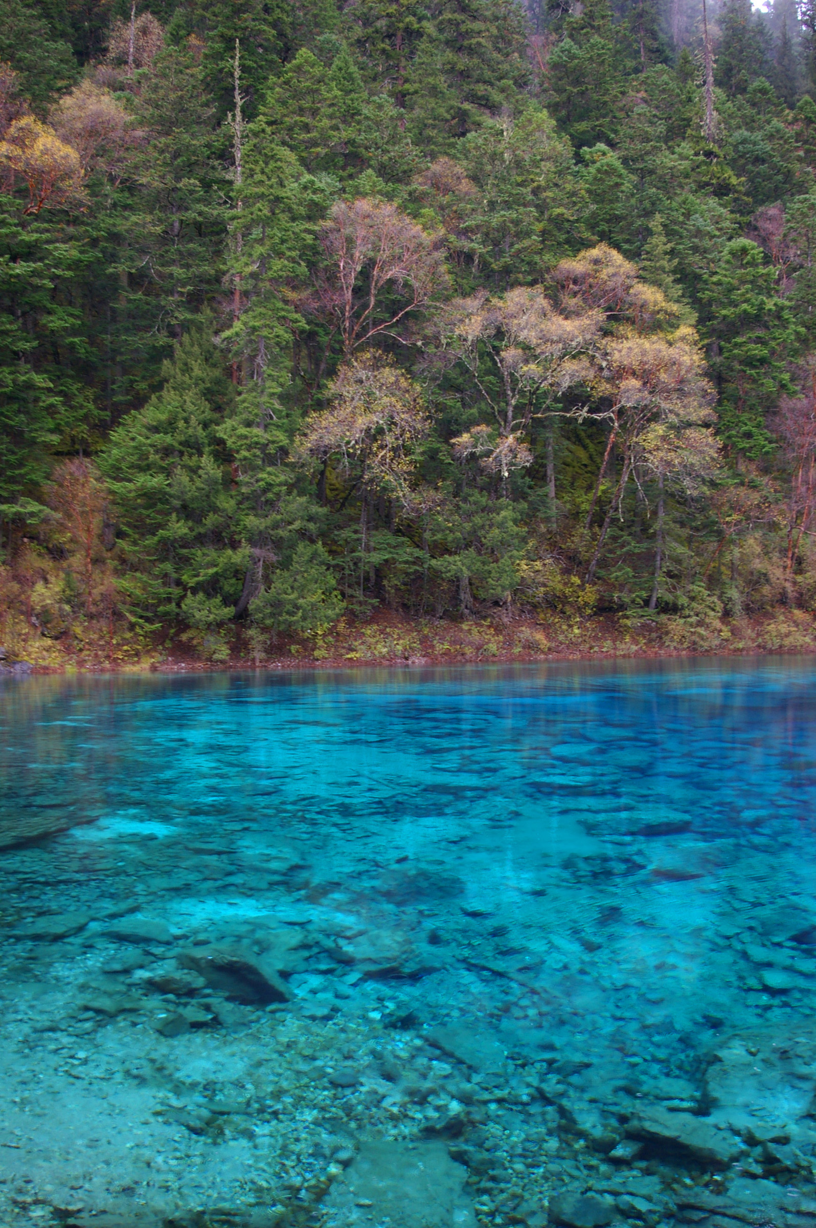 an image of Serenity at Beautiful Clear Cyan Blue Lake with Trees on Sides Located in China.