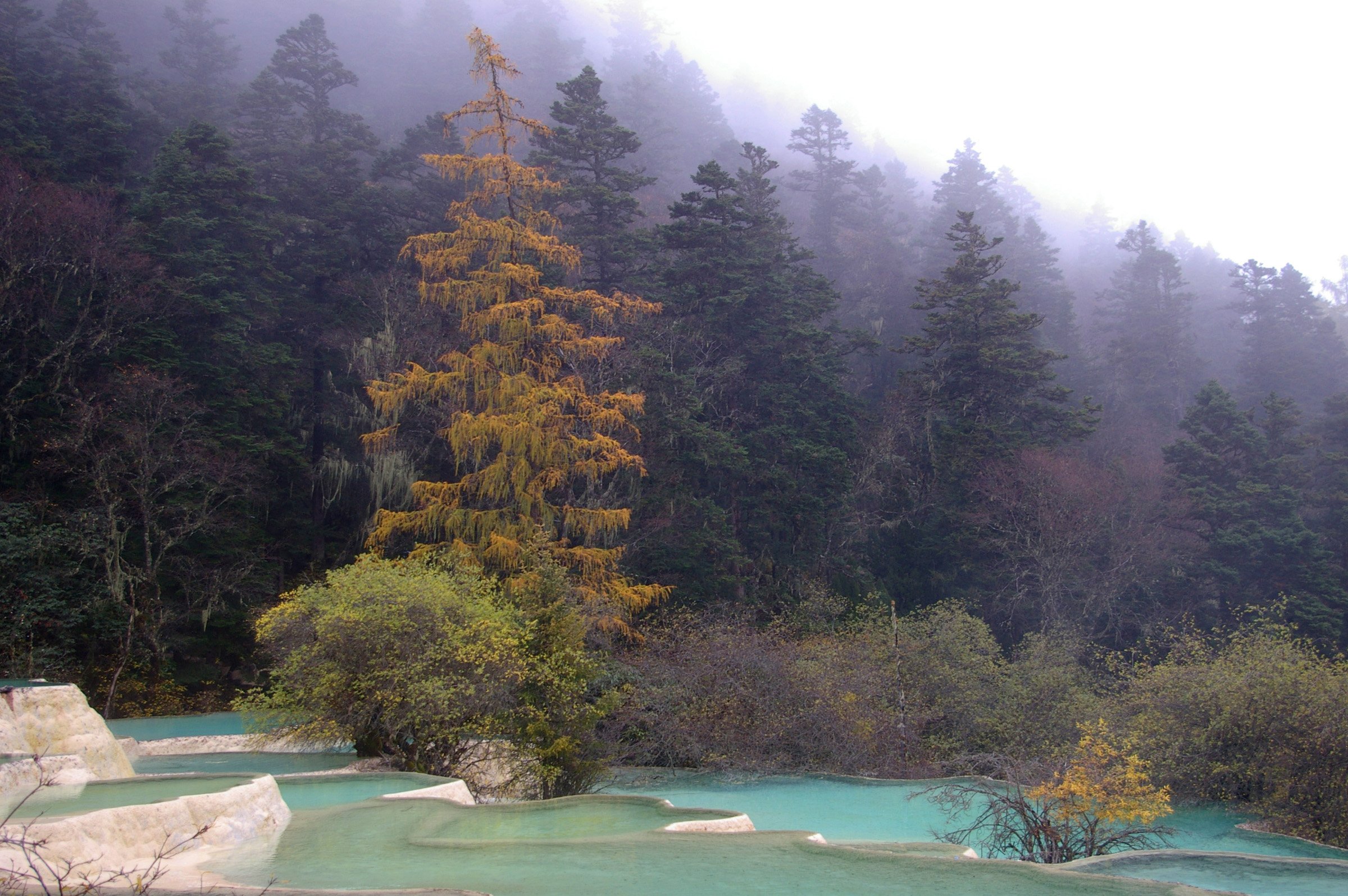 an image of Beautiful Blue Crystallized China Thermal Pools in Unique Shapes Surrounded by Green Plants and Trees.