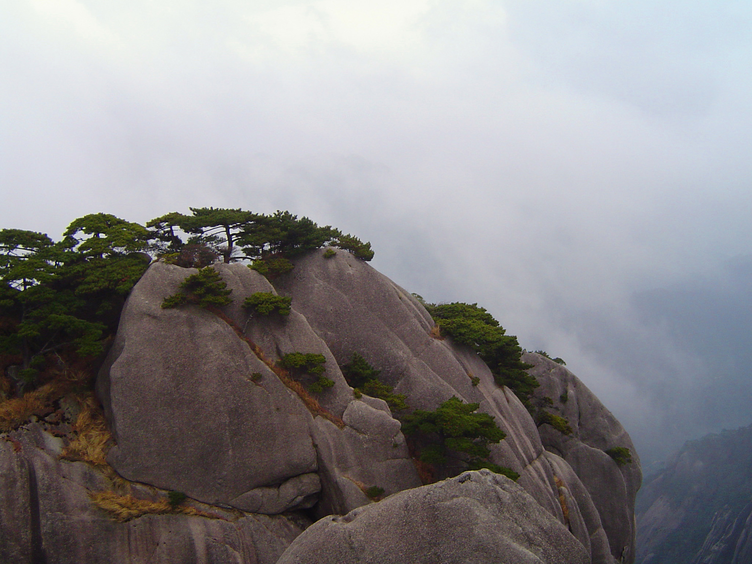 an image of Green Plants Growing on Huge Rock Formations at Yellow Mountains in China with Foggy Background.