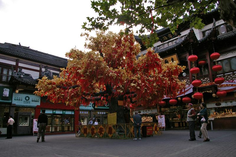 Tourists at Beautiful Lucky Tree in Front Architectural Chinese Buildings