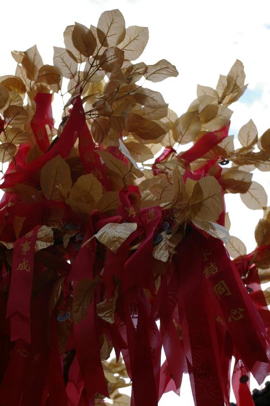 Close up Brown Leaves and Red Ribbons on Chinese Lucky Tree with White Background.