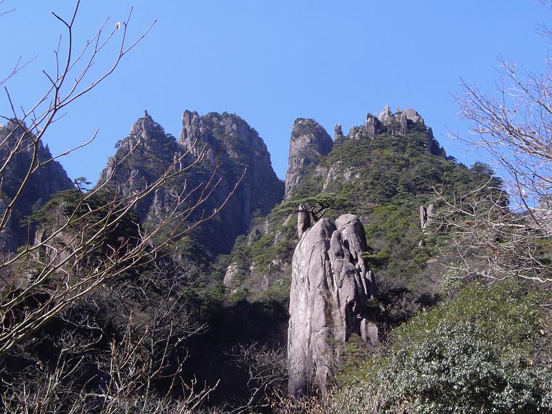 Famous Attraction of the Yellow Mountain Range with Green Plants and Trees in China. Captured with Light Blue Sky Background.