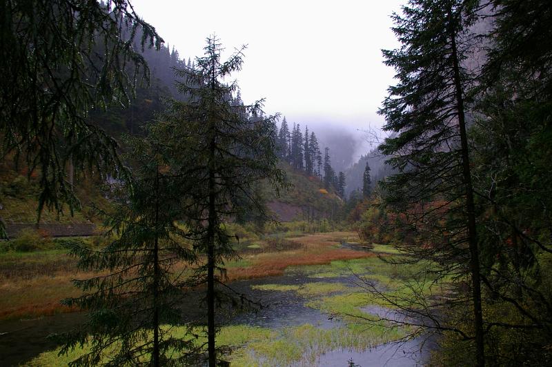Attractive Natural Beauty with Green Trees, Mountains and Grassy Swamps in China