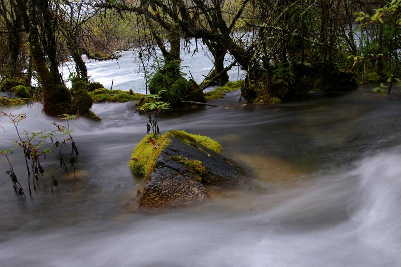 Nature Scenic of Moss Covered Rocks in Flowing River