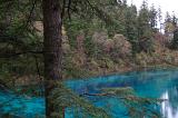 Scenic landscape with a tranquil cyan blue lake fringed with trees and forests
