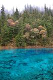 Beautiful Plants and Trees Along the Side of Famous Chinese Attraction, Cyan Blue Lake.