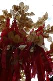 Close up Brown Leaves and Red Ribbons on Chinese Lucky Tree with White Background.
