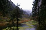 Attractive Natural Beauty with Green Trees, Mountains and Grassy Swamps in China