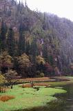 Natural scenic beauty in China with a view of a mountain valley with forested slopes and a clean peaceful swamp below