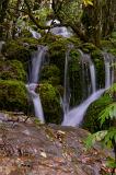 Long exposure with silky white water of several waterfalls flowing over mossy rocks in a scene of natural beauty
