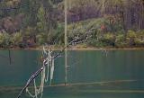 Serenity at Blue Green Lake with Green Plants and Trees on Side, Located in China