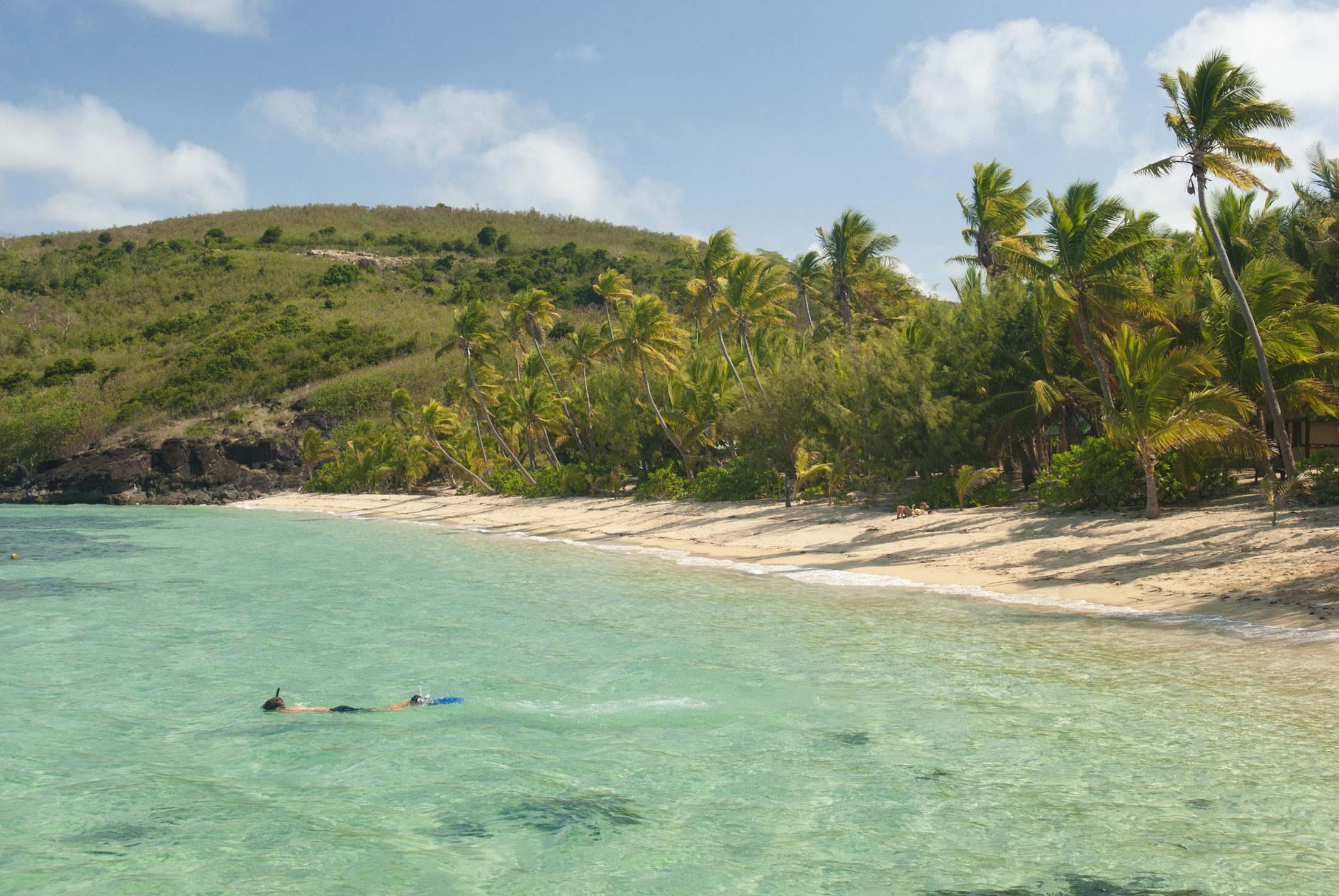 an image of Man snorkeling in the clear water off a tropical bay with golden sand and palm trees