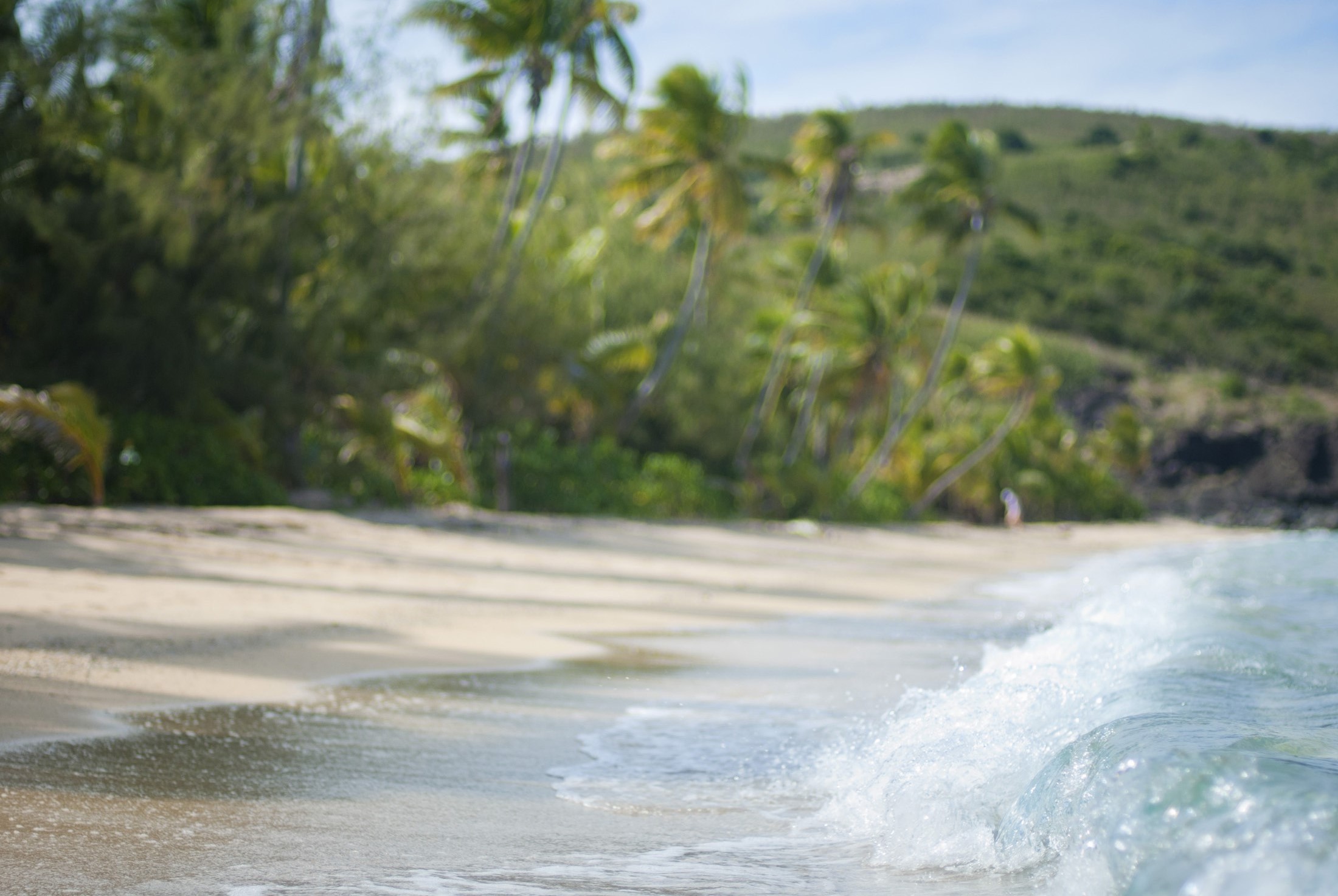 an image of Surf breaking on a deserted tropical sandy beach fringed with palm trees and hills
