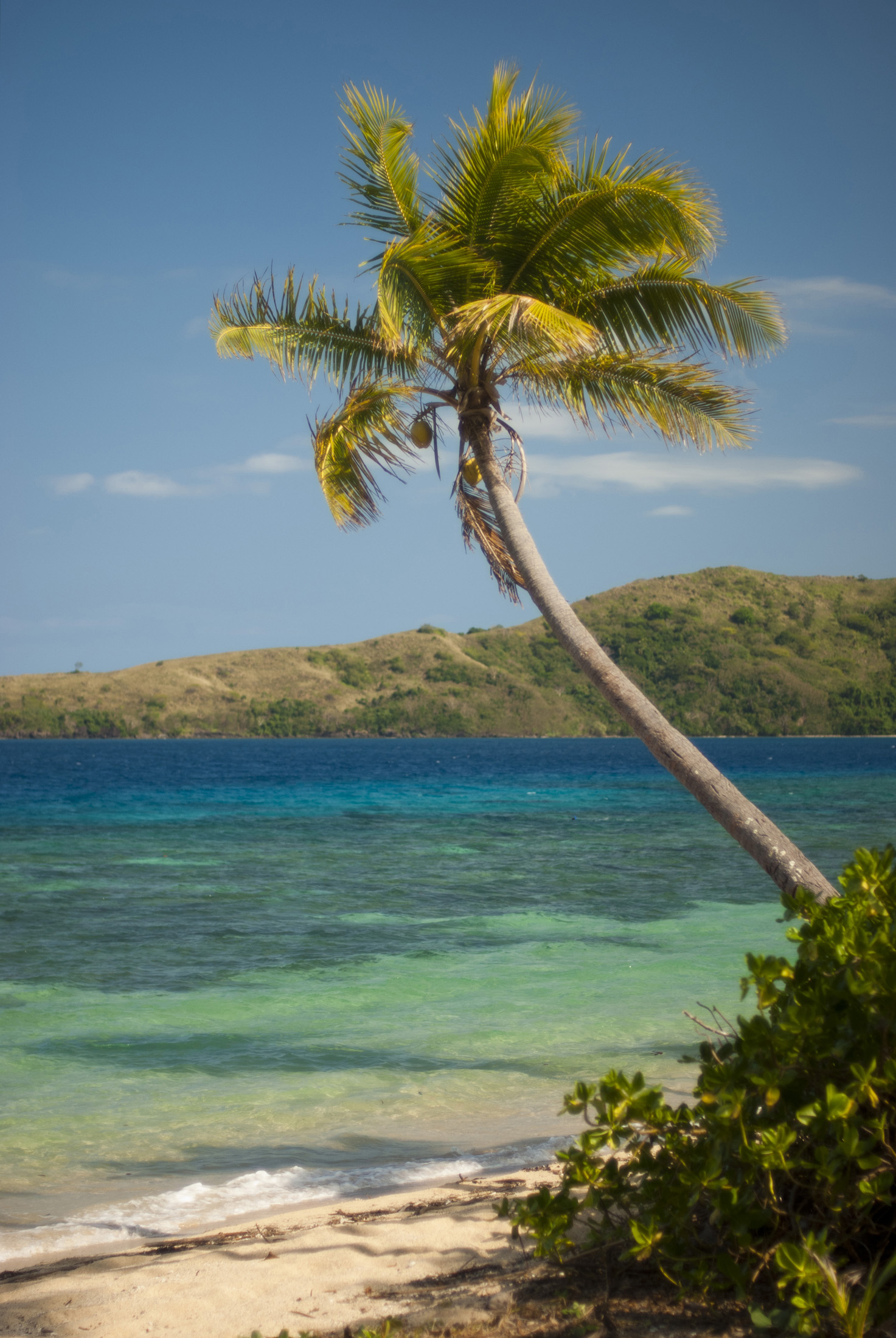 an image of Palm tree overhanging an idyllic tropical beach with golden sand and an azure blue ocean under clear blue summer skies