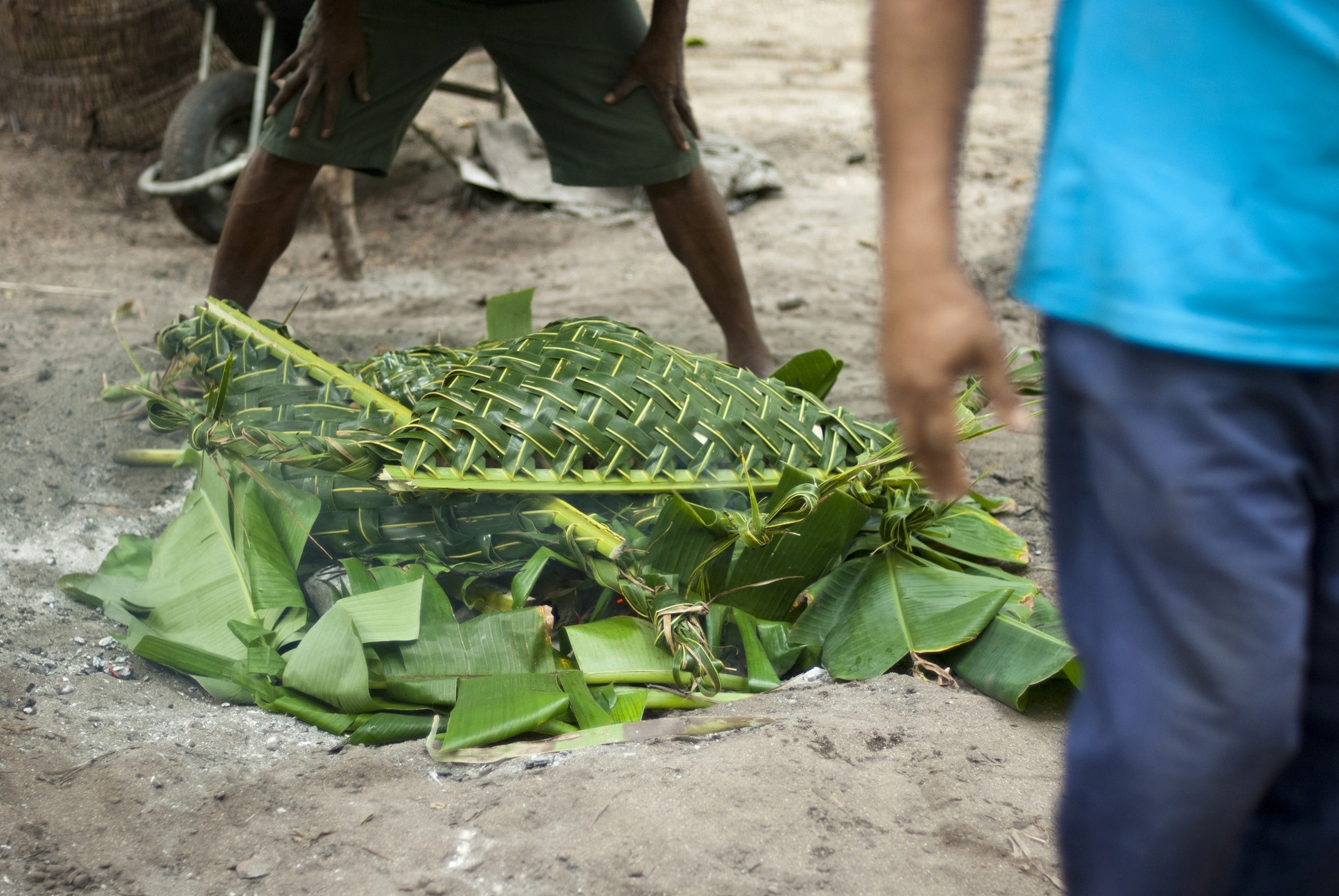 an image of Building a lovo, or earth oven, in Fiji which is simply a pit in ther ground with hot coals on which the food is placed and then covered with green vegetation to retain the heat