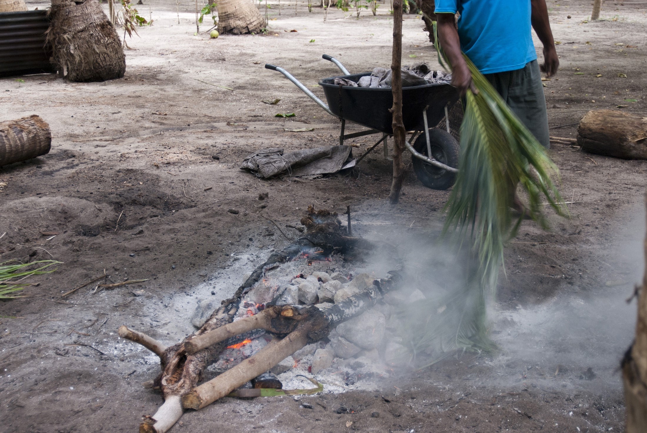 an image of Man tending to a lovo, or earth oven, which is a cooking pit in the ground which is covered with hot coals and charcoal which he is fanning with a palm frond