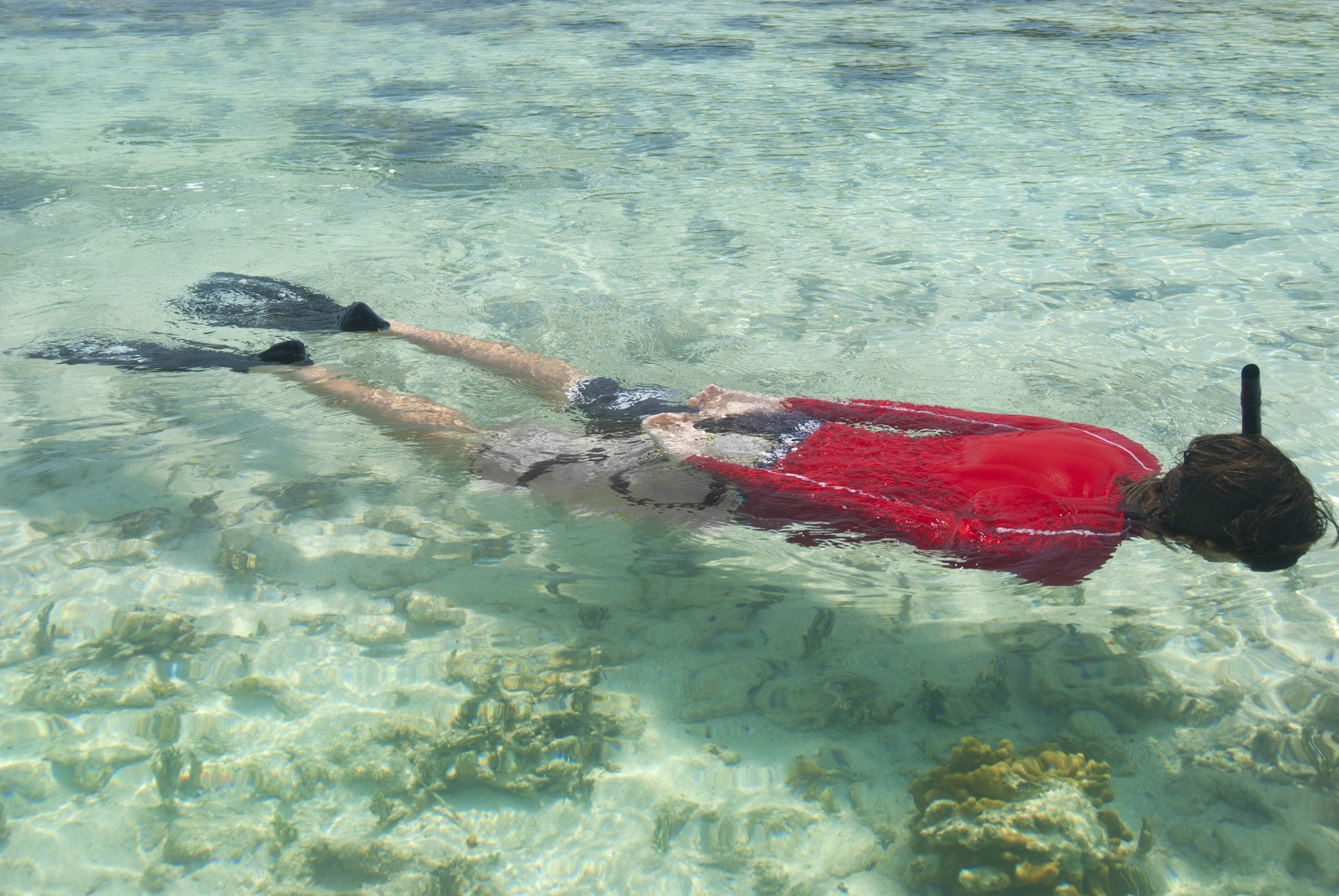 an image of Person snorkeling or skin diving in clear blue tropical water sparkling with the reflection of the sun