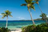 Beautiful tropical beach background with waving palm trees against a clear blue ocean