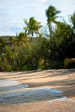 Gentle surf on a Fijian beach with golden sand and fringed with tropical palm trees