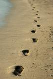 Barefoot footprints alongside the sea leading away from the camera across the sandy beach