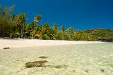 Crystal clear seawater at a tropical beach with golden sands and fringe of palm trees against blue sky
