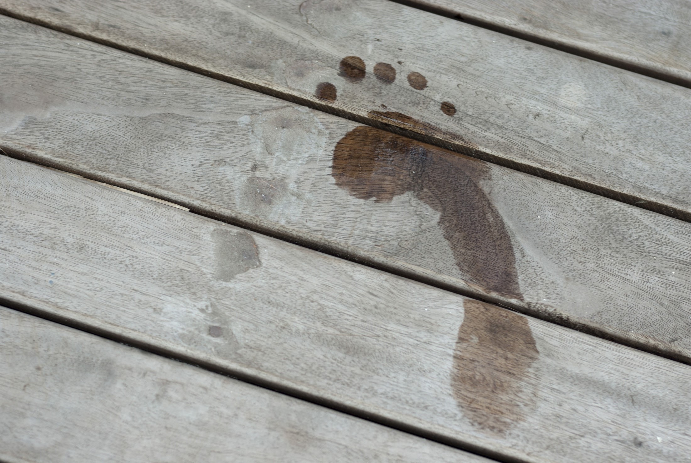 an image of Wet footprint on a wooden board left by a swimmer exiting the water on vacation