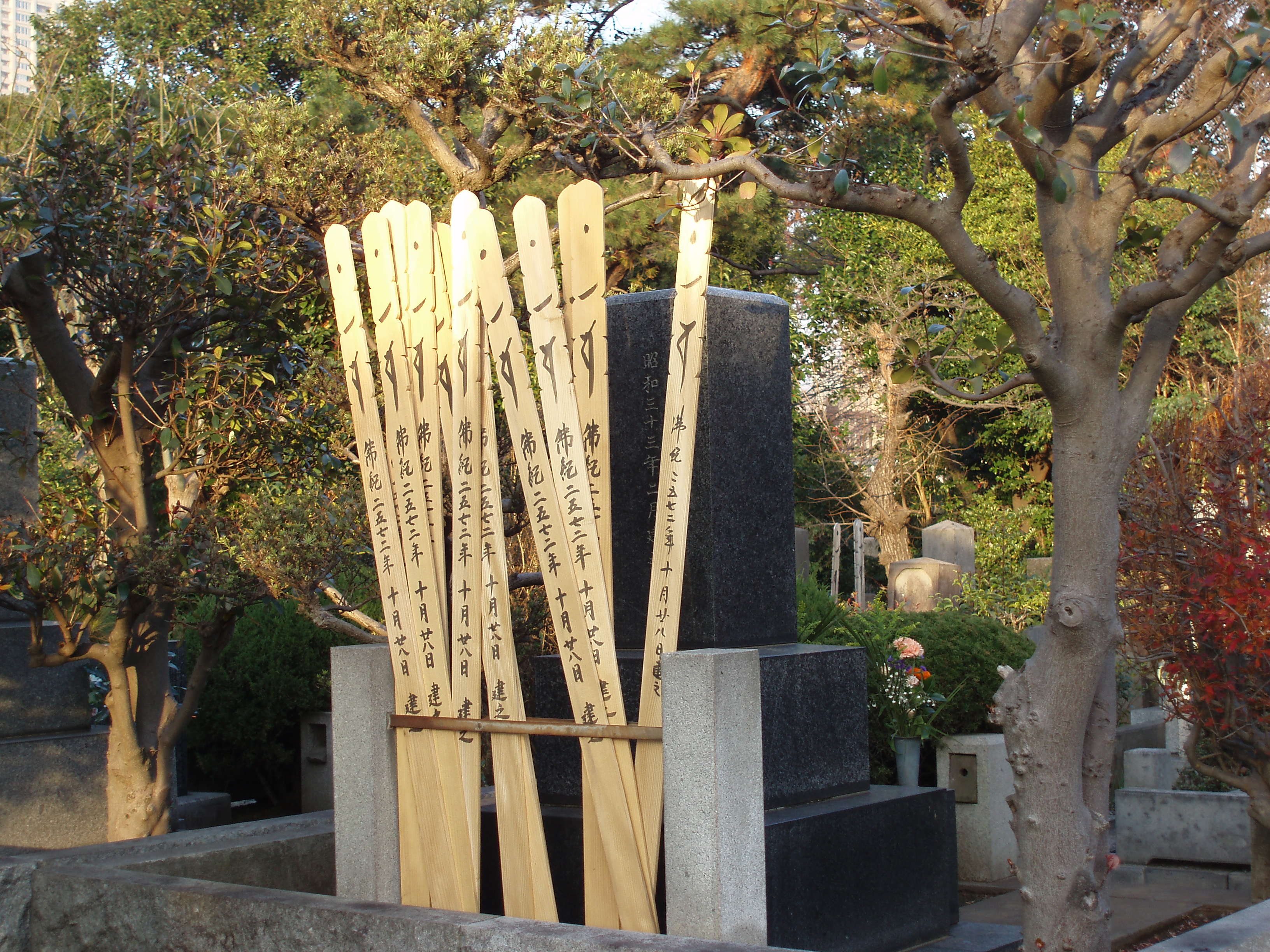 an image of traditional wooden burial sticks in a tokyo cemetery