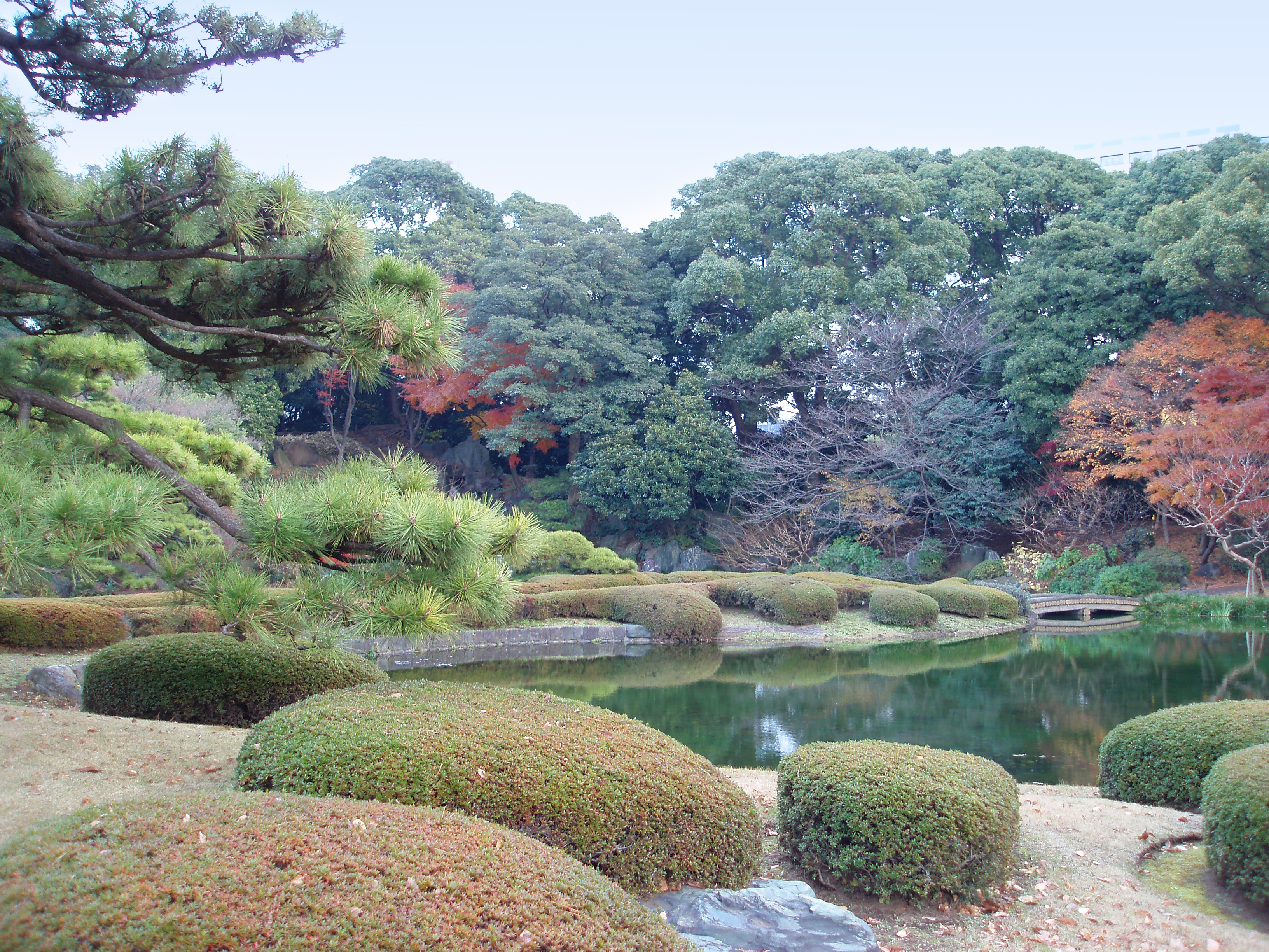 an image of picturesque ornamental japanese garden and pond