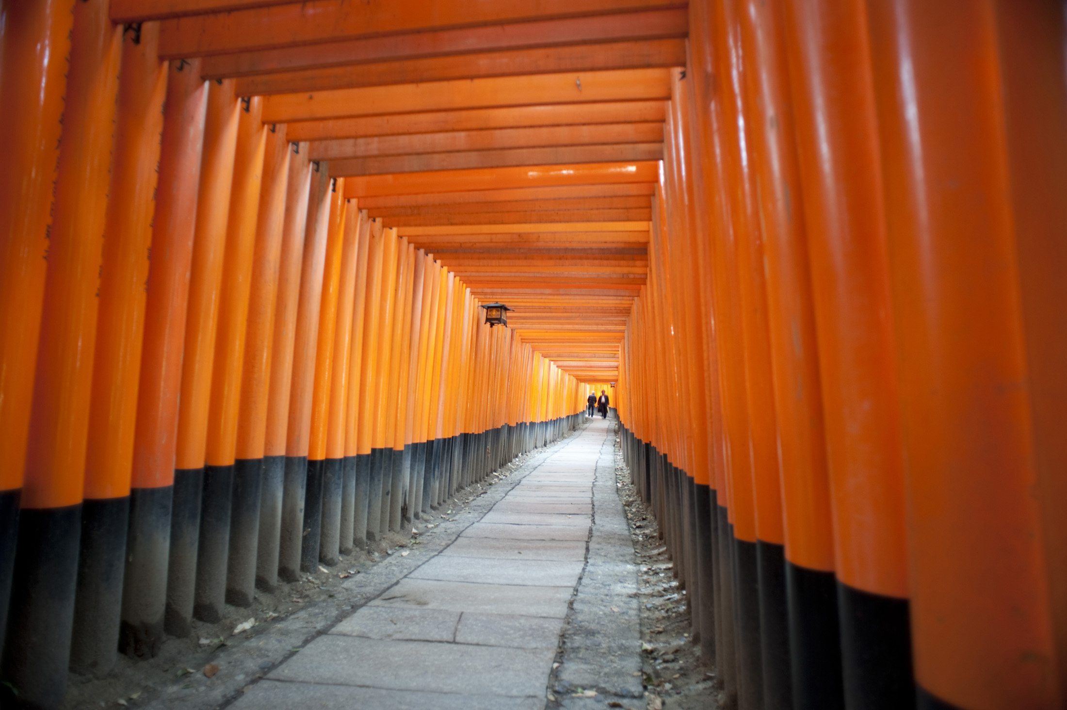 an image of a long tunnel of torri gates at the Fushimi Inari-taisha shrine, Kyoto, Japan