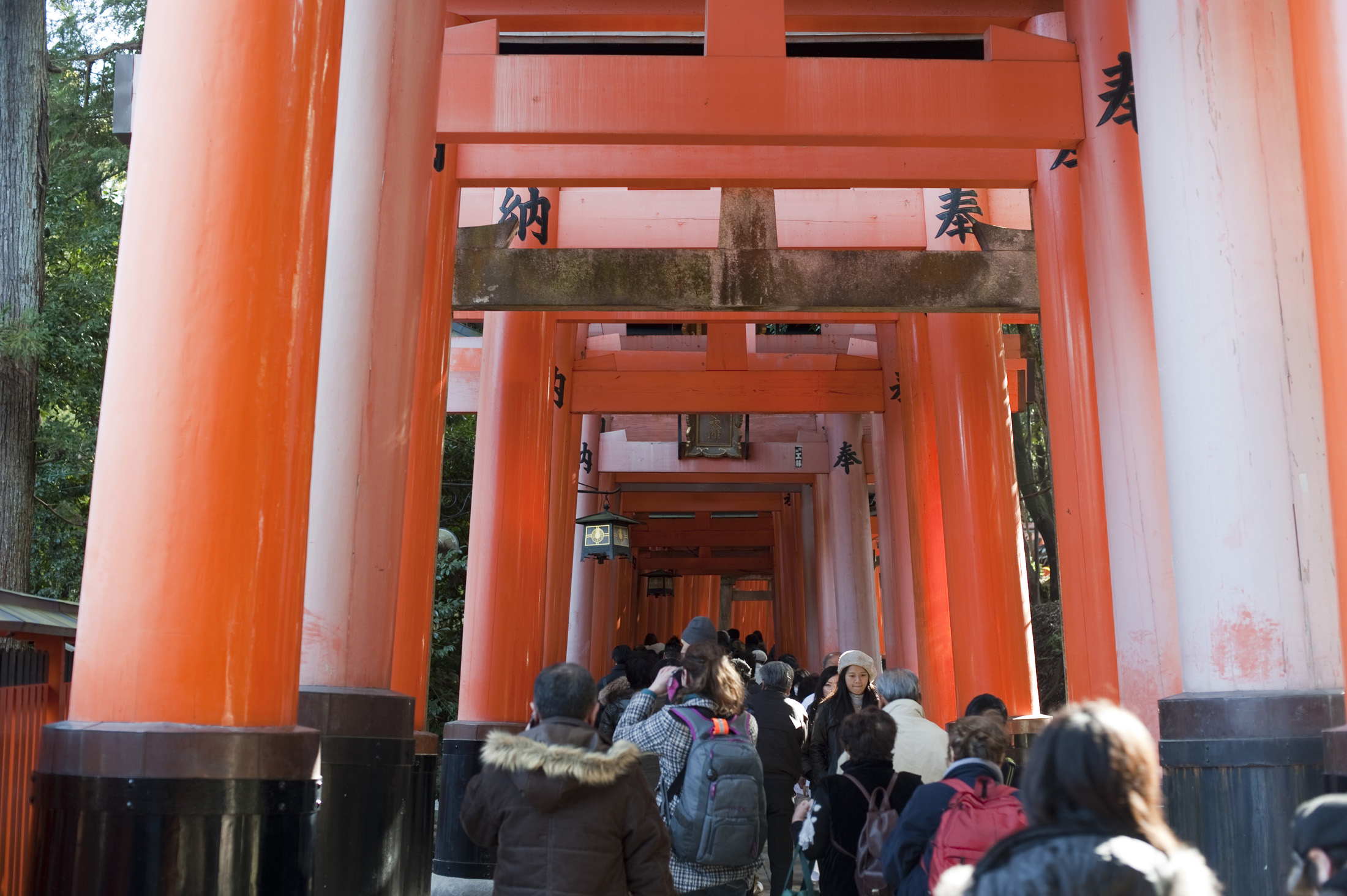an image of a tunnel of torii gates at the Fushimi Inari-taisha shrine