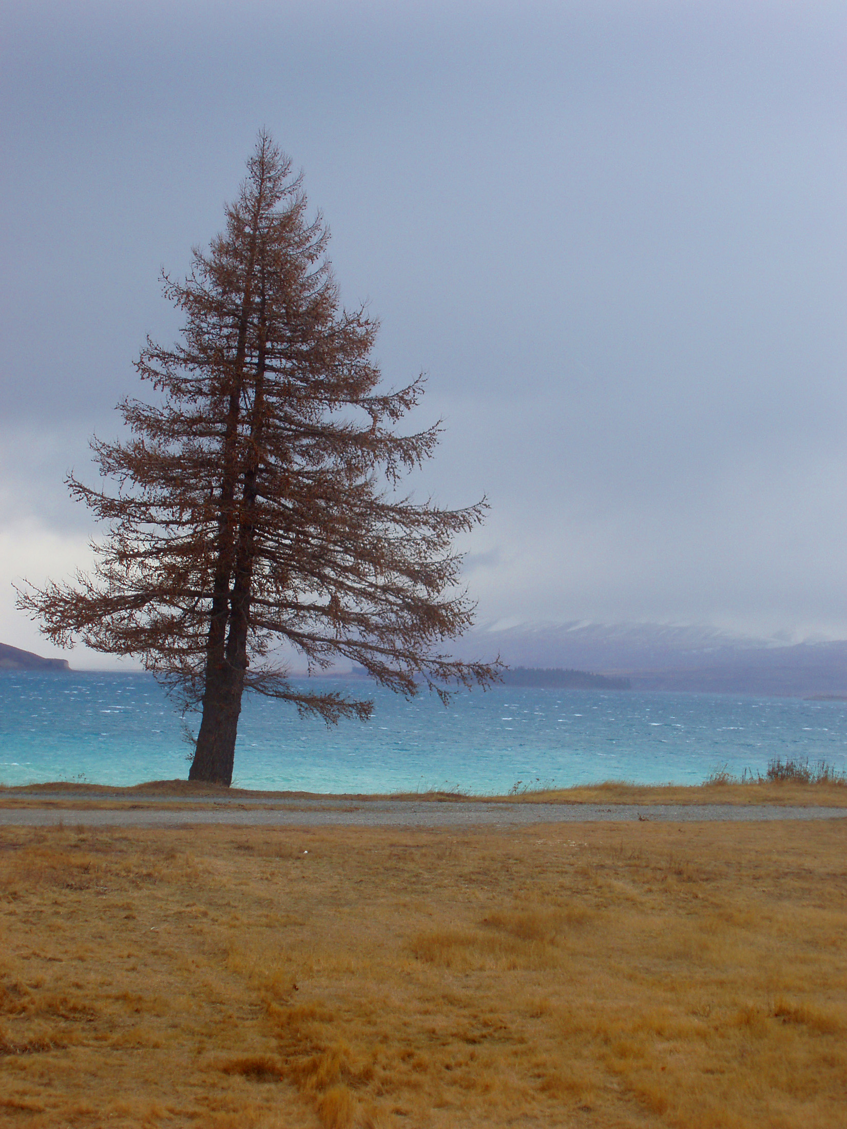 an image of lake pukaki, new zealand, blue glacial waters,