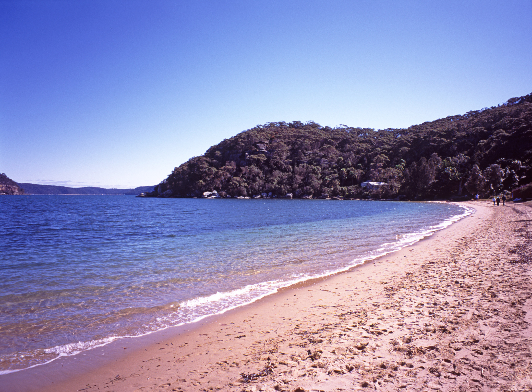 an image of Beautiful Palm Beach in Australia. Captured with Light Blue Sky Background. A Perfect Venue for Vacation.
